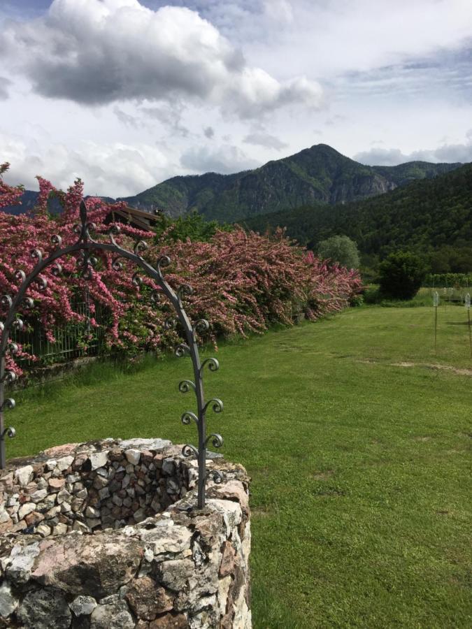 Paradiso Sul Lago 칼세라니카알라고 외부 사진