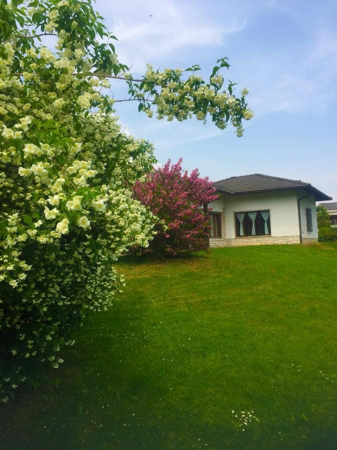 Paradiso Sul Lago 칼세라니카알라고 외부 사진